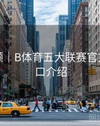 全程回顾｜B体育五大联赛官方数据接口介绍