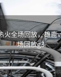 雄鹿vs热火全场回放，雄鹿vs热火全场回放g3