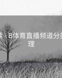 数据解读 - B体育直播频道分类全面梳理