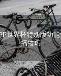 B体育APP世界杯特别版功能盘点 - 直播技巧