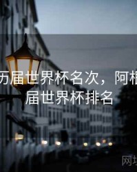 阿根廷历届世界杯名次，阿根廷上一届世界杯排名