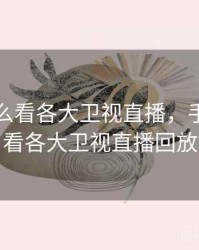 手机怎么看各大卫视直播，手机怎么看各大卫视直播回放