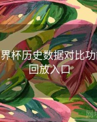 B体育世界杯历史数据对比功能介绍 - 回放入口