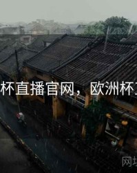 欧洲杯直播官网，欧洲杯直播!