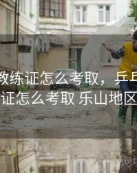 乒乓球教练证怎么考取，乒乓球教练证怎么考取 乐山地区
