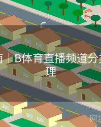 直播指南｜B体育直播频道分类全面梳理
