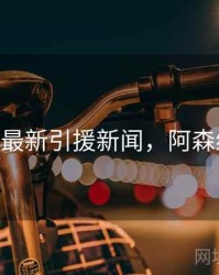 阿森纳最新引援新闻，阿森纳 新援