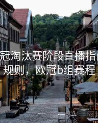 B体育欧冠淘汰赛阶段直播指南｜积分规则，欧冠b组赛程