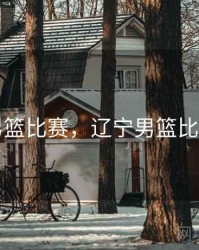 辽宁男篮比赛，辽宁男篮比赛排名