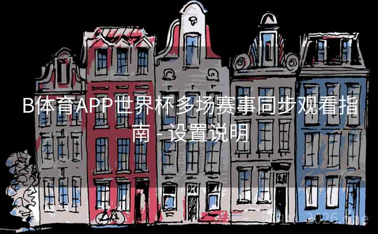 B体育APP世界杯多场赛事同步观看指南 - 设置说明