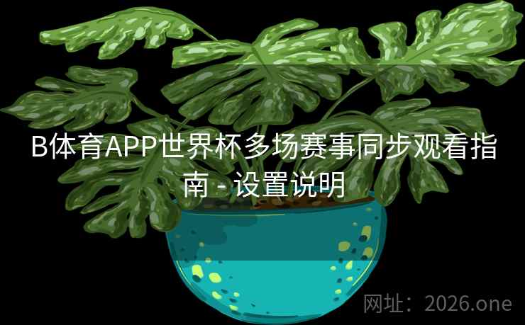 B体育APP世界杯多场赛事同步观看指南 - 设置说明