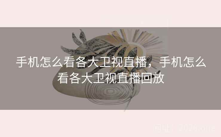 手机怎么看各大卫视直播，手机怎么看各大卫视直播回放