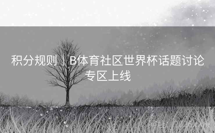 积分规则｜B体育社区世界杯话题讨论专区上线