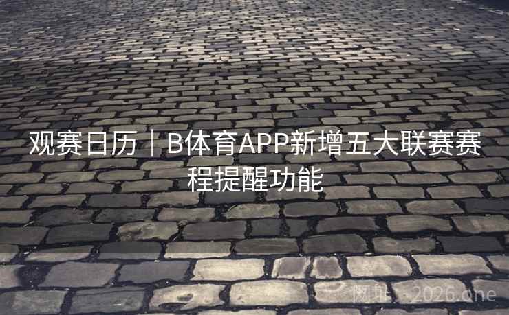 观赛日历｜B体育APP新增五大联赛赛程提醒功能