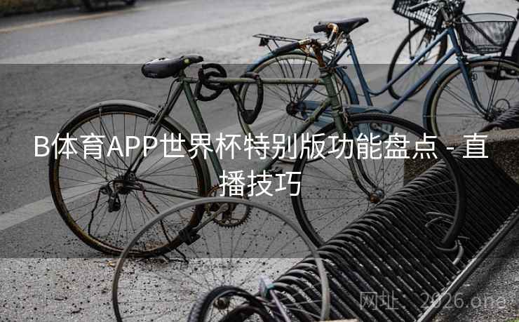 B体育APP世界杯特别版功能盘点 - 直播技巧