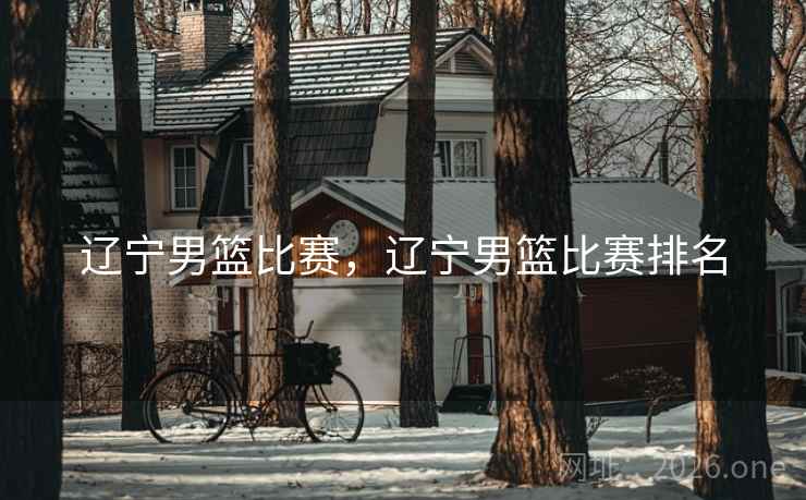 辽宁男篮比赛，辽宁男篮比赛排名