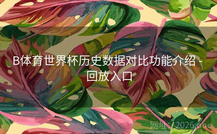 B体育世界杯历史数据对比功能介绍 - 回放入口