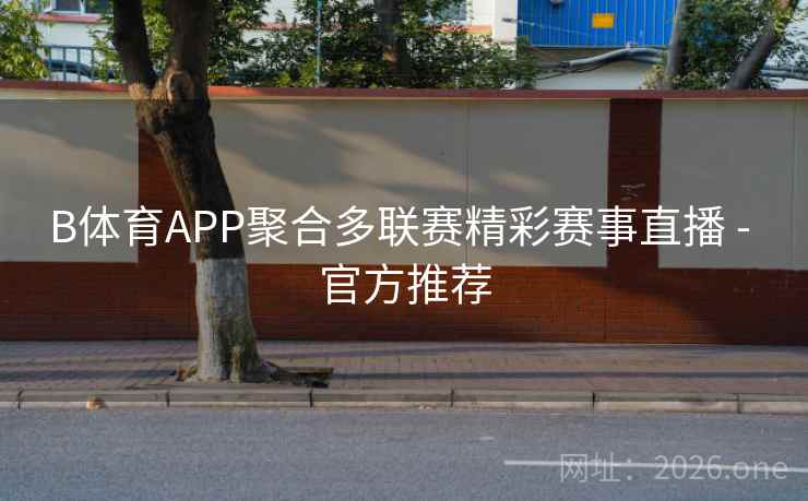 B体育APP聚合多联赛精彩赛事直播 - 官方推荐