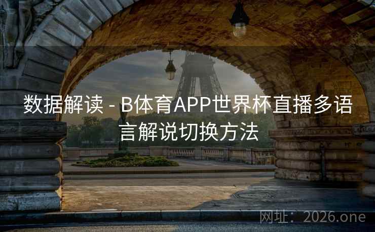 数据解读 - B体育APP世界杯直播多语言解说切换方法
