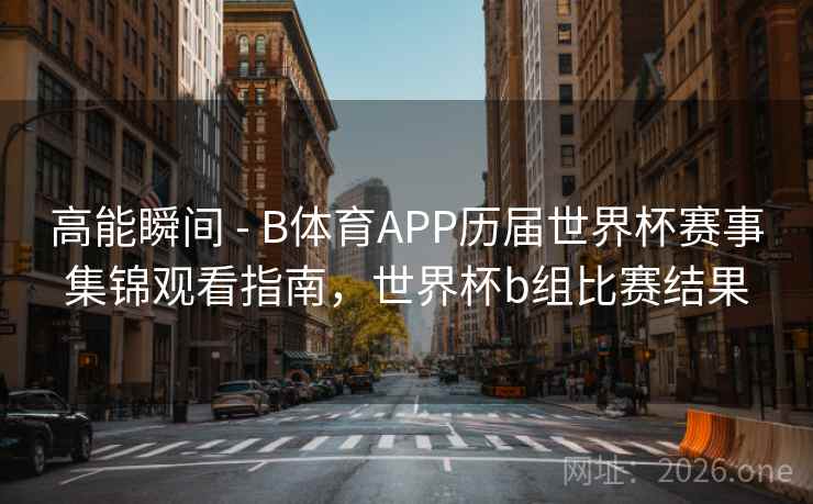 高能瞬间 - B体育APP历届世界杯赛事集锦观看指南，世界杯b组比赛结果
