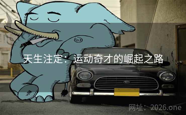 天生注定：运动奇才的崛起之路