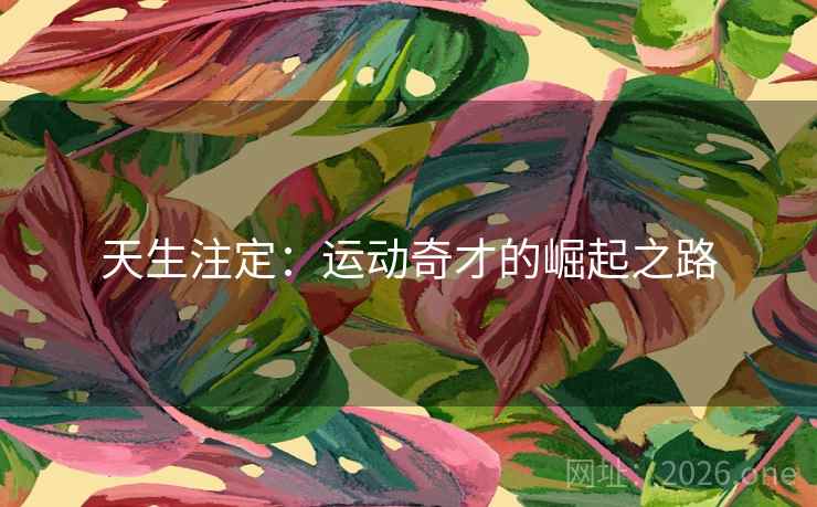 天生注定：运动奇才的崛起之路