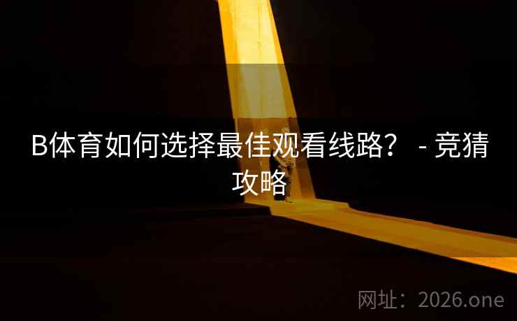 B体育如何选择最佳观看线路？ - 竞猜攻略