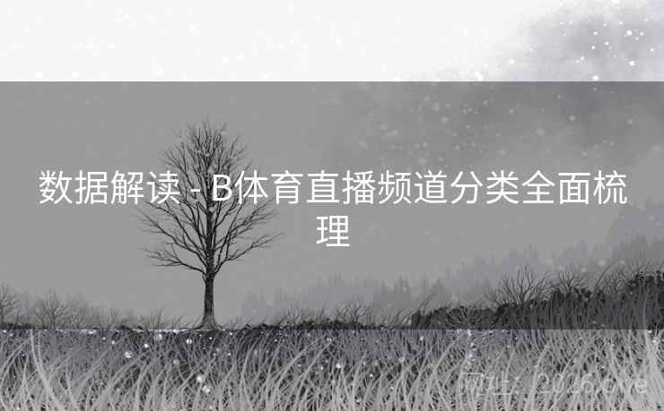 数据解读 - B体育直播频道分类全面梳理