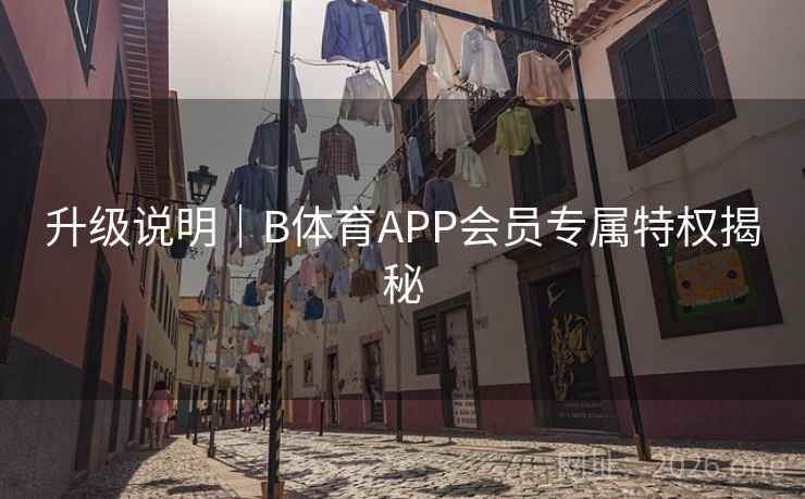 升级说明｜B体育APP会员专属特权揭秘