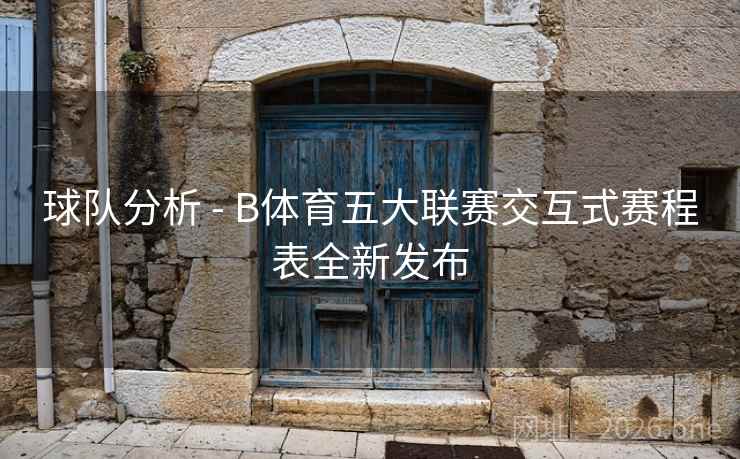 球队分析 - B体育五大联赛交互式赛程表全新发布