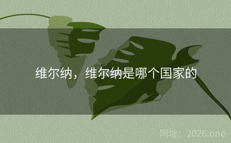 维尔纳，维尔纳是哪个国家的