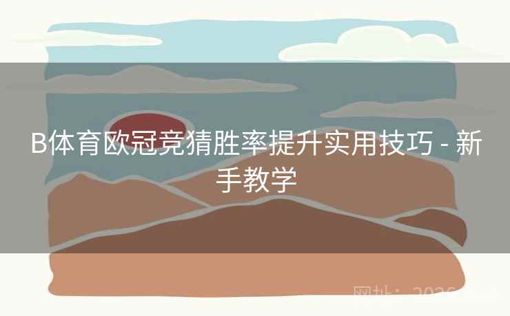 B体育欧冠竞猜胜率提升实用技巧 - 新手教学