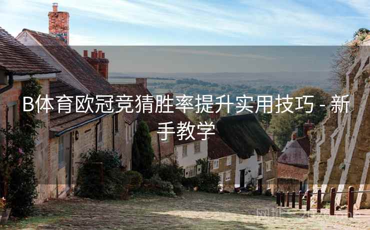 B体育欧冠竞猜胜率提升实用技巧 - 新手教学