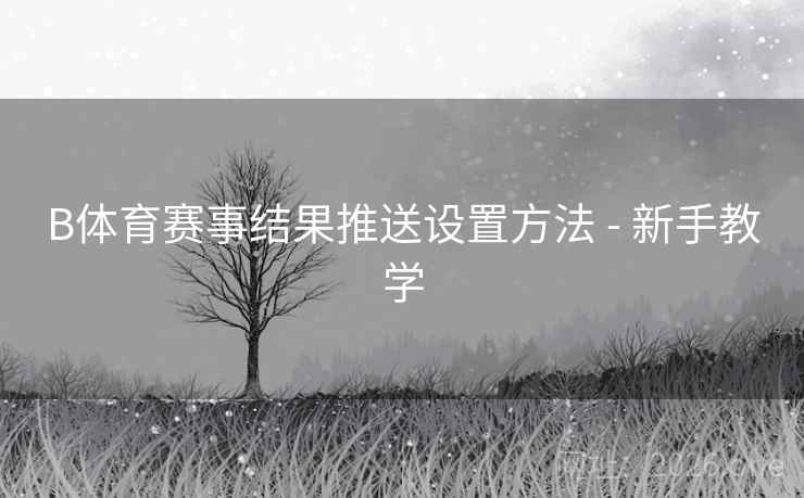 B体育赛事结果推送设置方法 - 新手教学