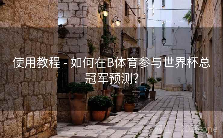 使用教程 - 如何在B体育参与世界杯总冠军预测？