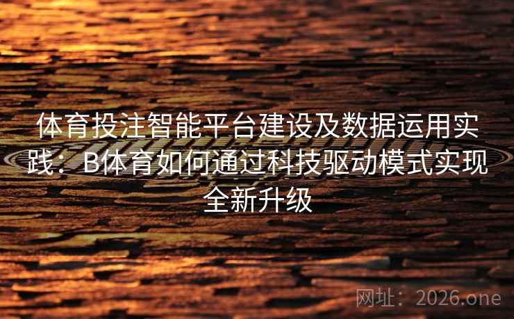 体育投注智能平台建设及数据运用实践：B体育如何通过科技驱动模式实现全新升级