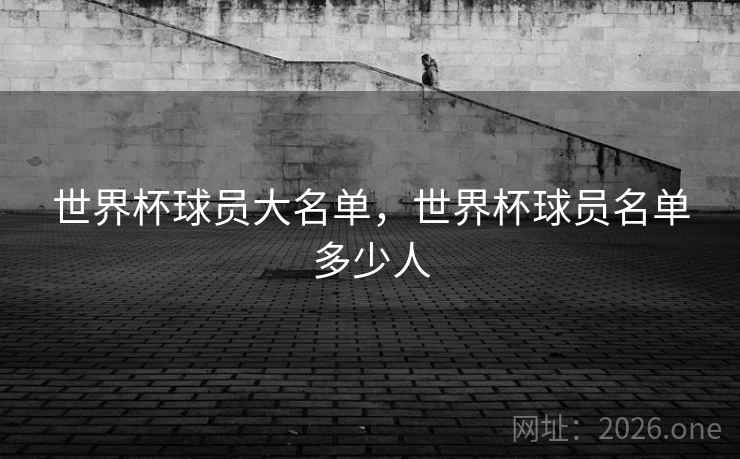 世界杯球员大名单，世界杯球员名单多少人