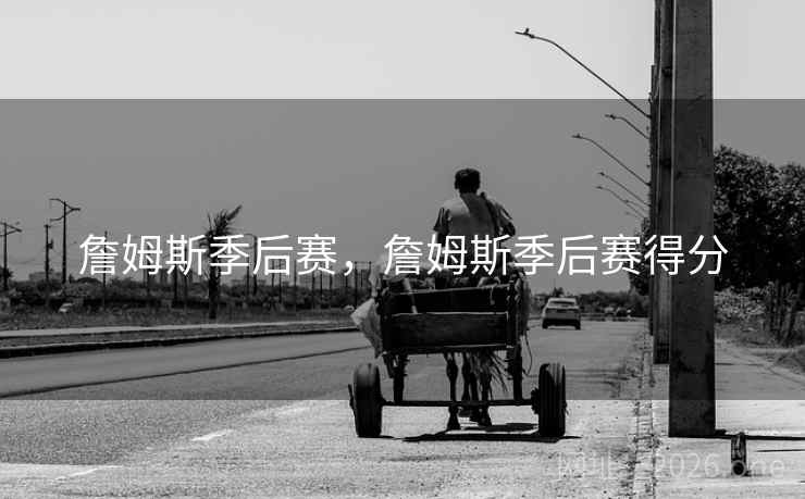詹姆斯季后赛，詹姆斯季后赛得分